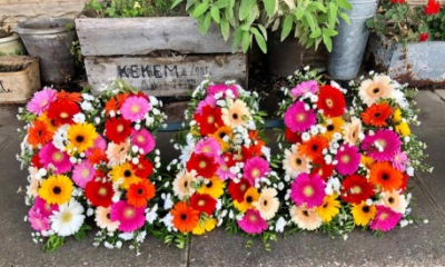 All Gerbera Mixed Three Letter Funeral Tribute - Vibrant Gerberas in a variety of colours are used to create this 3 Letter Funeral Spray.

Letters can spell out a three-letter word "Mum", "Mom", "Nan", "Dad". Longer word sprays are also available at £50 per extra letter. Please call us to discuss.

Express condolences and pay tribute with this arrangement expertly prepared by professional, locally based, florists Emma and Laura. At this difficult time, Emma and her team are here to help choosing and ordering funeral flowers and sympathy tributes a little easier.

All arrangements are created from our collection of fresh flowers at our shop in Lisle Avenue, Kidderminster.

Can't find the perfect tribute? All arrangements can be designed for your specific requirements and budget. All colours, styles and budgets can be catered for. Please contact us to discuss any specific requirements.

Coffin Sprays, Wreaths, Posies and Hearts also available.